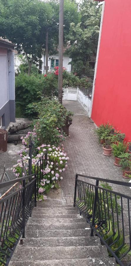 Stan Za Iznajmuvanje So Parking,Blisku Do Centar. Kumanovo Exterior photo